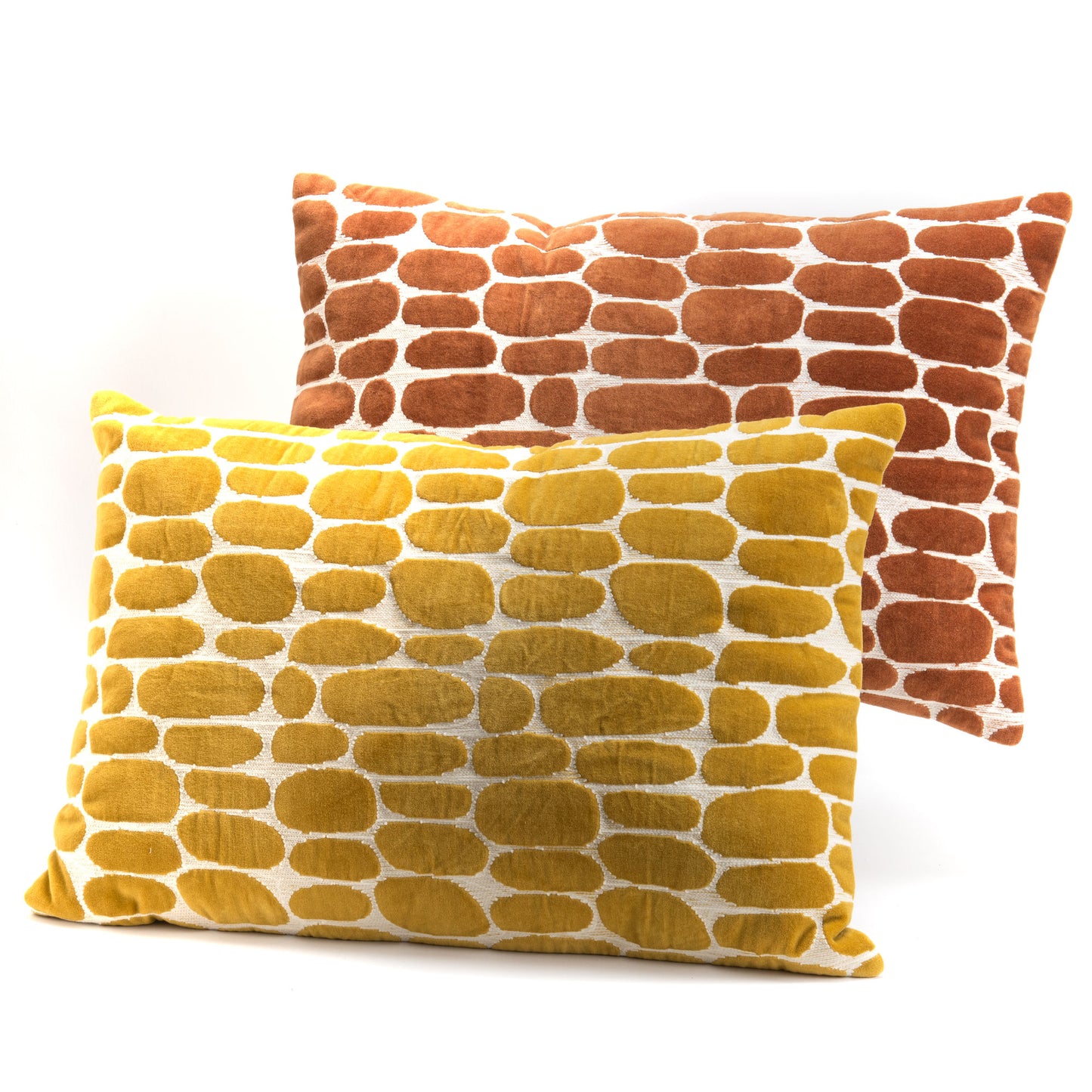 2 coussins assortis