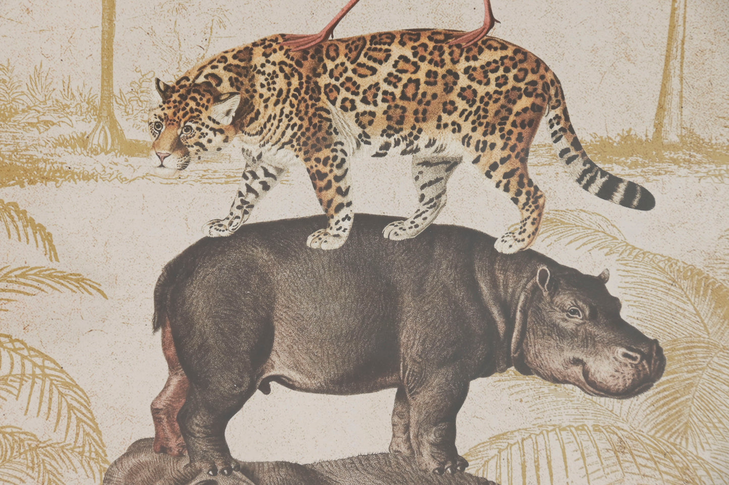 Tableau animaux
