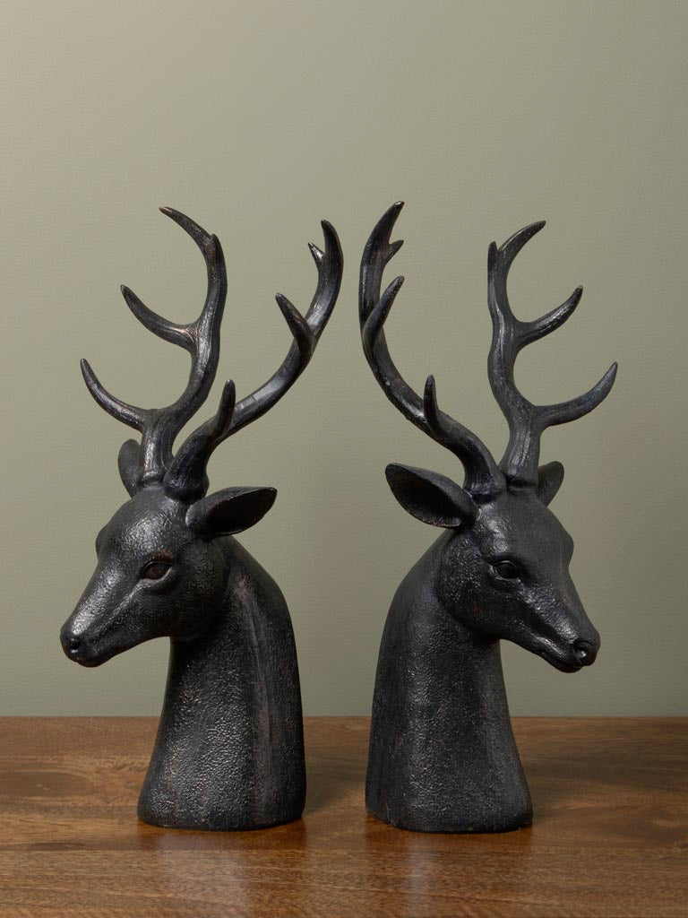 serre livres Cerf