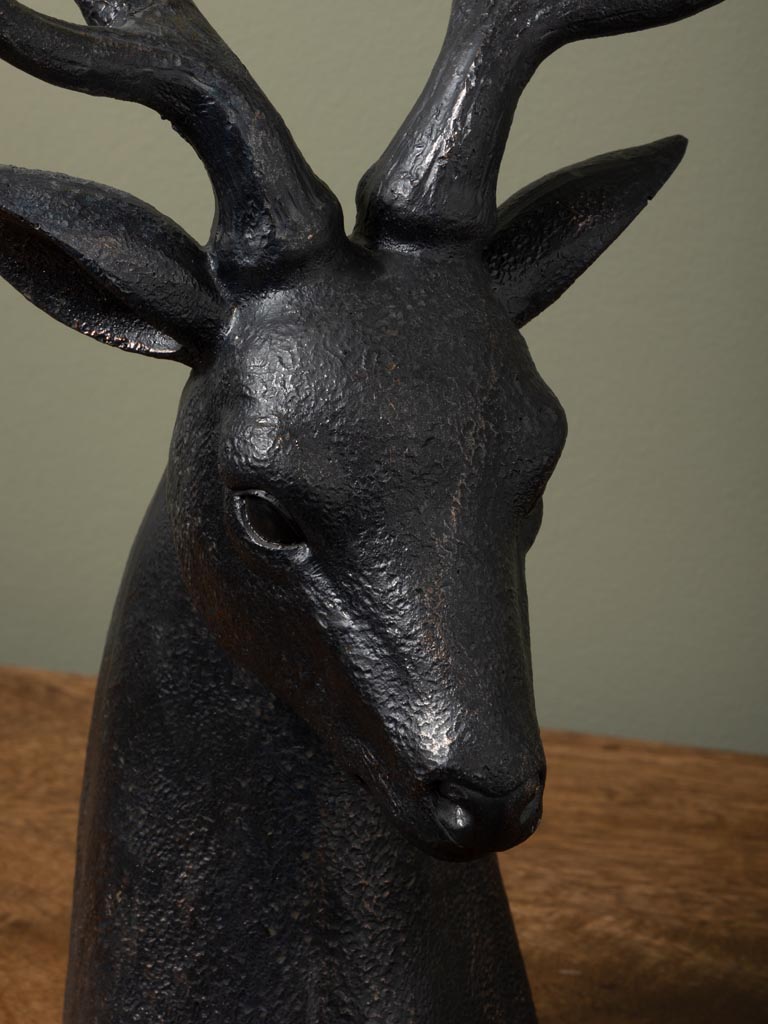 serre livres Cerf