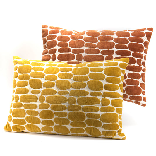 2 coussins assortis