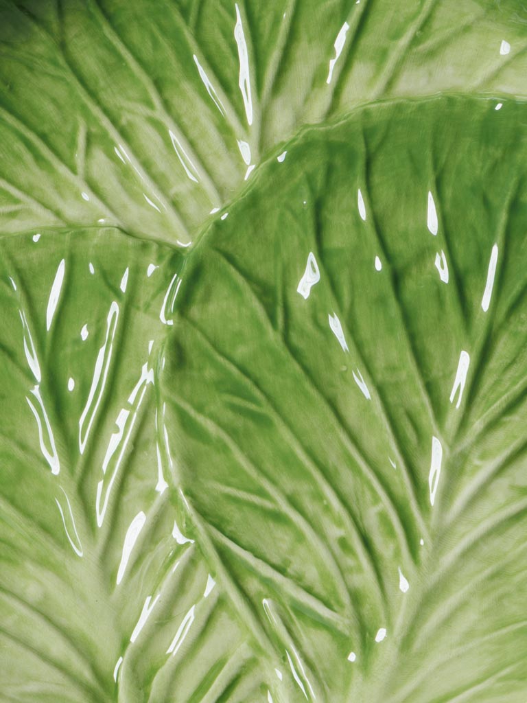Set 6 assiettes Salade