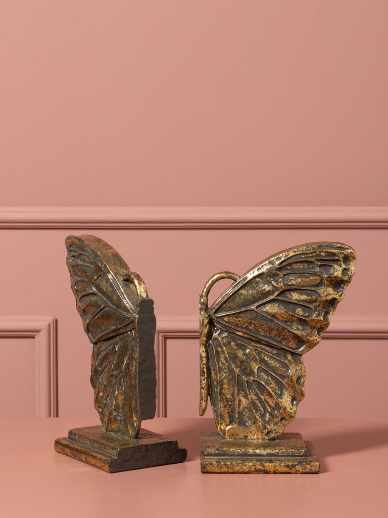 Serre livres papillon